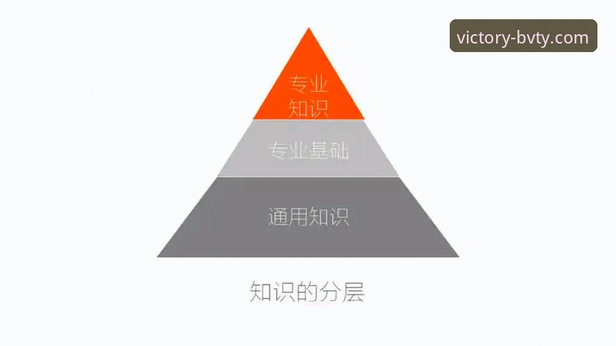 宝威体育正版入口实用指南：从安全下载到高效使用的必备知识